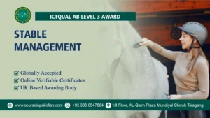 ICTQual Level 3 Award in Stable Management