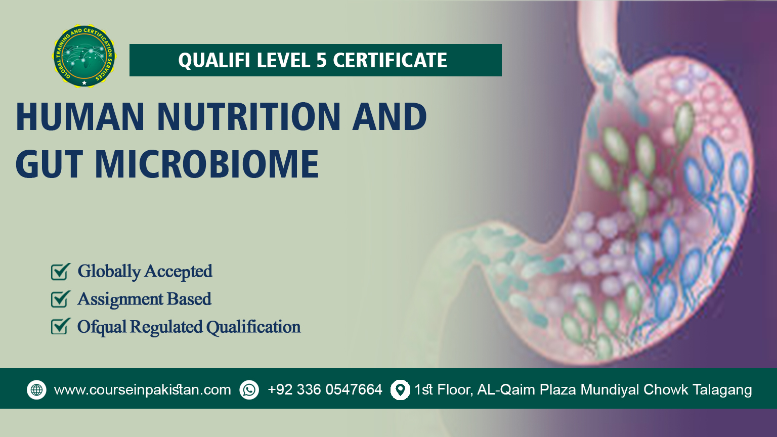 Qualifi Level 5 Certificate in Human Nutrition and Gut Microbiome